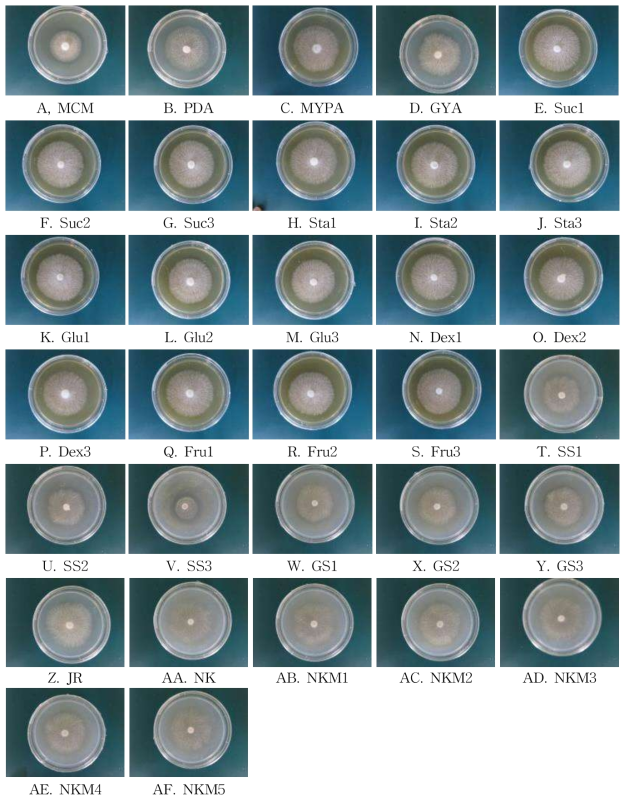 표고버섯 선발계통 배지조성별 고체배지 균사생장 모습