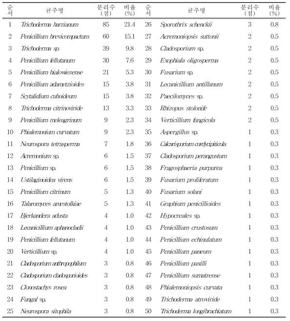 표고버섯 톱밥배지 분리곰팡이 동정 및 분포비율