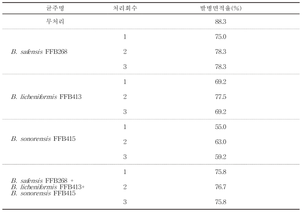 표고버섯 봉지배지 대상 미생물 처리에 따른 곰팡이병 발병면적율