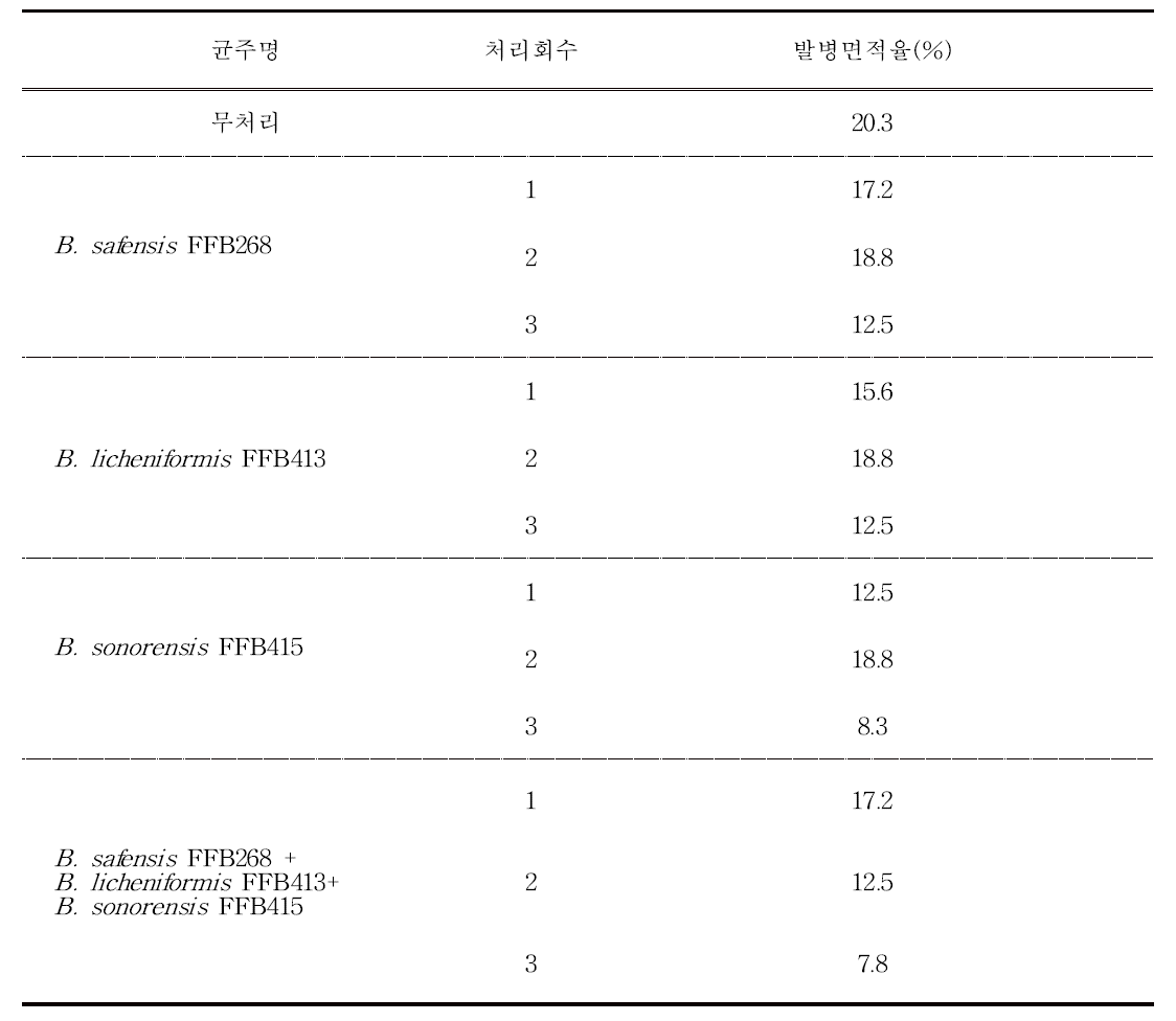 표고버섯 병배지 대상 미생물 처리에 따른 곰팡이 발병면적율