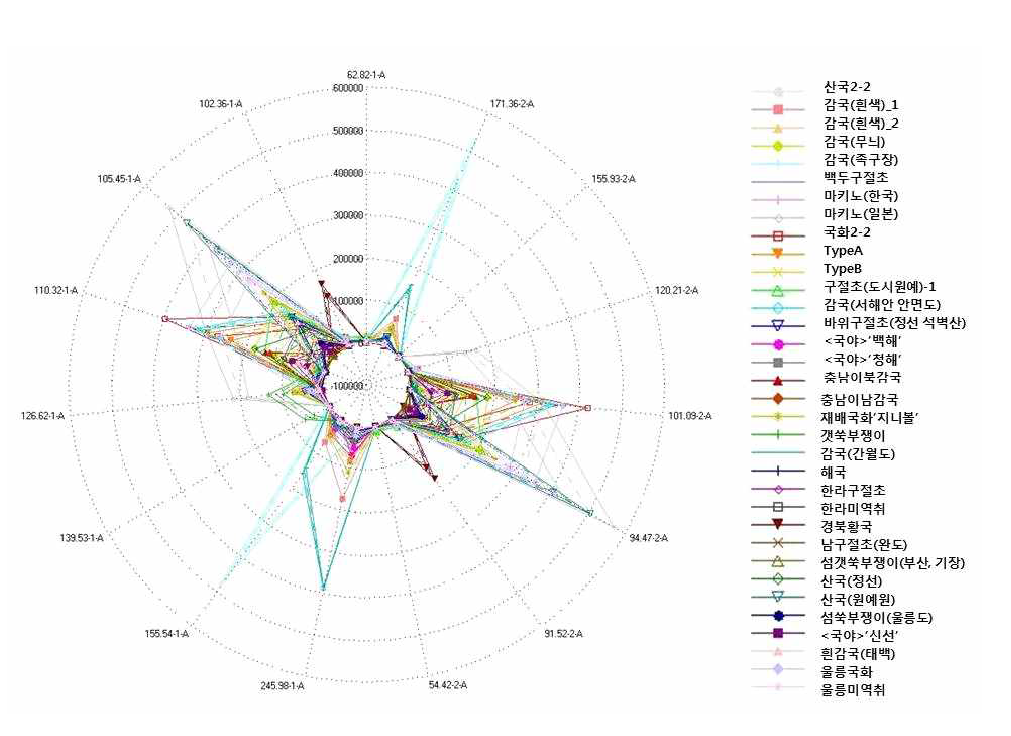국내 자생 국화과 식물들의 GC 타입 전자코의 선별된 15 peak의 radar plot