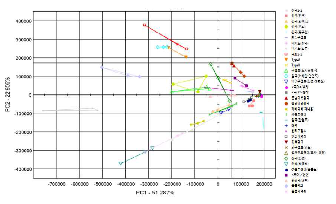 국내 자생 국화과 식물들의 GC 타입 전자코 data의 다변량 통계분석 결과