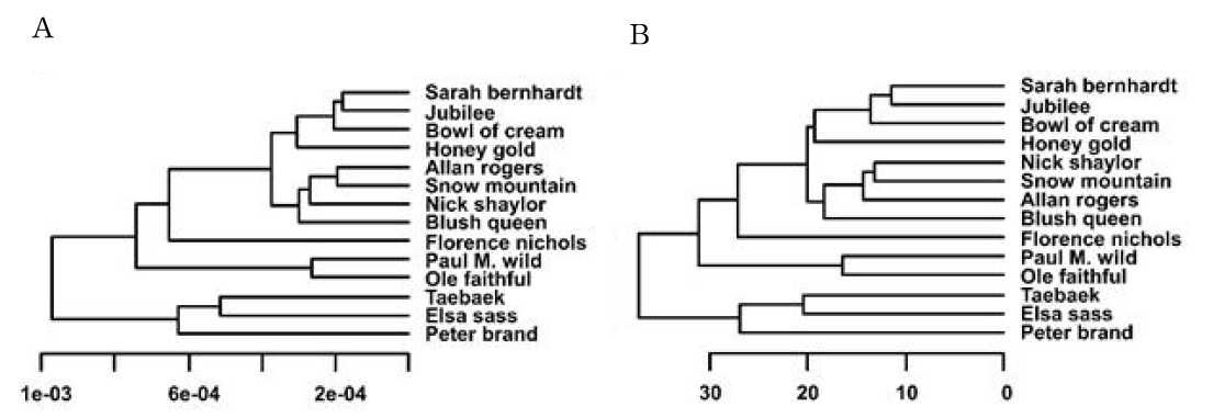 HCA dendrogram from PCA (A) and PLS-DA (B) of FT-IR spectra from the flower extracts of P. lactiflora cut flower cultivars