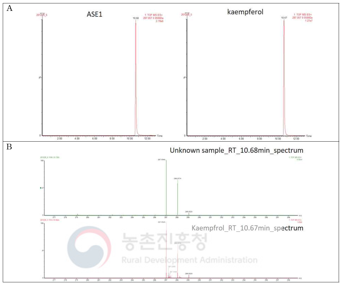 ASE1의 UPLC와 Q-tof-MS 분석 결과 A:EIC chromatogram, B: EIC spectrum