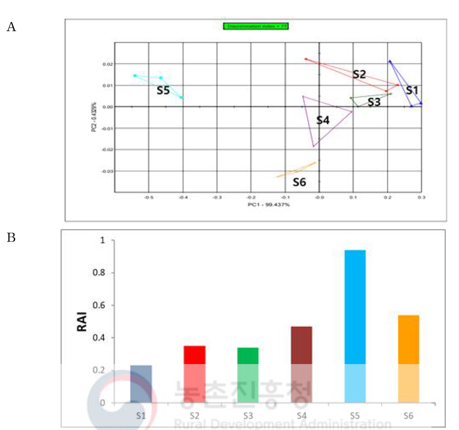 Floral scent analysis of different AS flowering stages using E-nose. A: PCA, B: RAI, S1: Tight bud, S2: Soft bud, S3: Initial flower, S4: Half opened flower, S5: Full opened flower, S6: Wilted flower