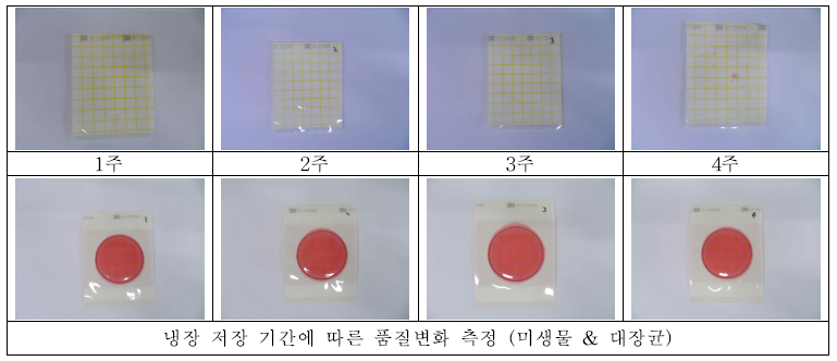 저장 기간에 따른 미생물 변화