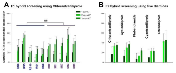 Diamide resistant and susceptible strain (A) F1 and (B) F2 hybrid screening results. (A) Chlorantraniliprole was used for F1 hybrid screening in recommended concentration. Five families of RS (R♂ × S ♀) and SR (S♂ × R♀) were used, respectively. (B) F2 hybrid was generated via F1 families mass mating and five diamide insecticides were tested. Third instar larvae were used with three replications. There were not significantly different at P < 0.05 using Tukey’s range test (SAS 9.4)