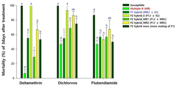 Susceptibility of susceptible and multiple resistant strain as well as it’s F1 and F2 hybrids of Spodoptera litura against three insecticides. 3rd instar larvae were used and insecticide were treated using topical applicator. Technical grade insecticide were diluted in acetone. The same letter within a graph were not significantly different at P < 0.05 using Tukey’s range test (SAS 9.4)