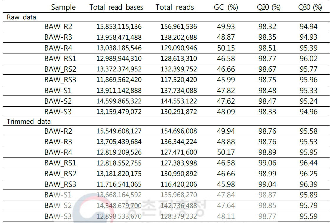 Statistics of raw and trimmed data stats for RNAseq of diamide resistant (R), susceptible (S) strains and its F1 hybrid (RS)