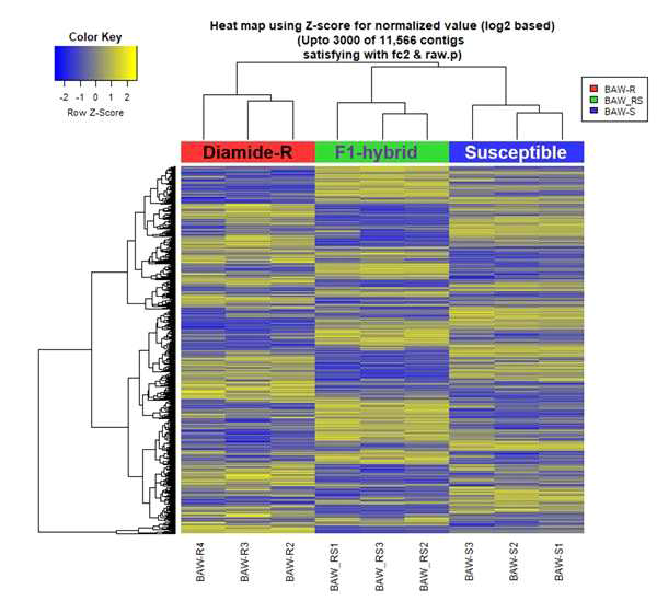 Heat map for hierarchical clustering using Z-score for normalized value (log2 based)