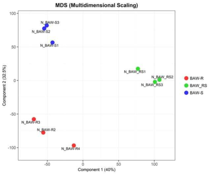 MDS (Multidimensional Scaling) plot result