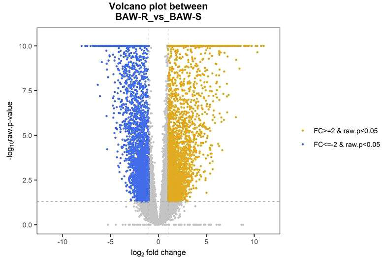 Volcano plot between diamide resistant (BAW-R) and susceptible (BAW-S) strains