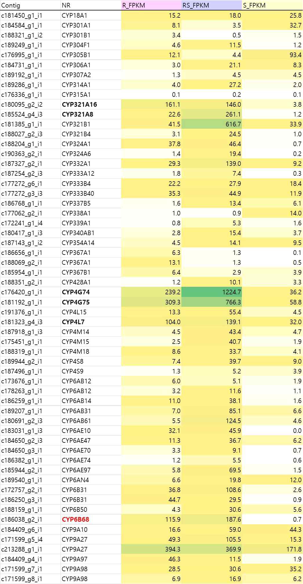 Heatmap for cytochrome P450 gene family expression level based on RNAseq of diamide resistant (R), susceptible (S) strains and its F1 hybrid (RS)