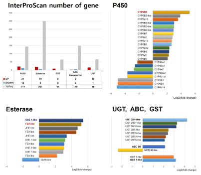 Comparisons of deferentially expressed genes which related with detoxification in the S. litura. Detoxification reacted gene families such as P450 (cytochrome P450, UGT (UDP-Glucuronosyltransferase), ABC (ATP-binding cassette transporter), GST (Glutathione S-transferase), esterase were collected using InterProScan program. Some of deferentially expressed genes were selected from each detoxification reacted gene families