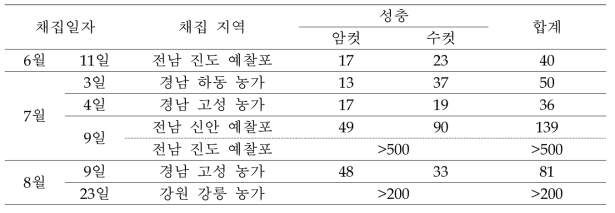 2019년 흰등멸구 채집량 및 채집 지역