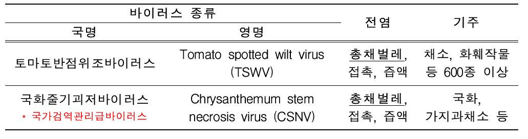 국화에서 발생되는 총채벌레 매개 바이러스 종류