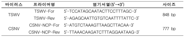 RT-PCR 진단에 사용된 프라이머 정보