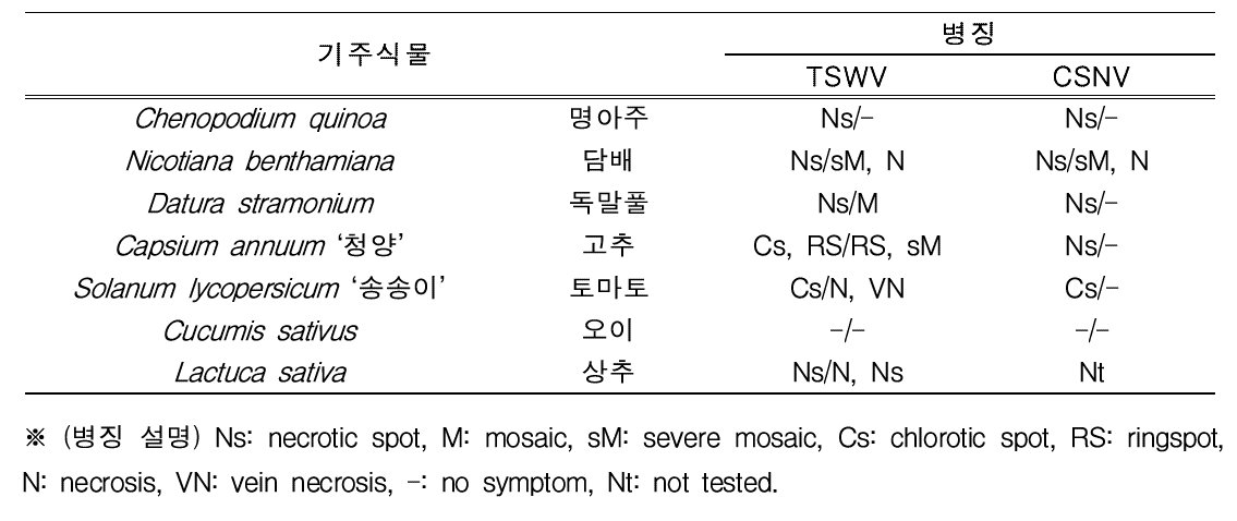 TSWV 및 CSNV의 기주범위 조사