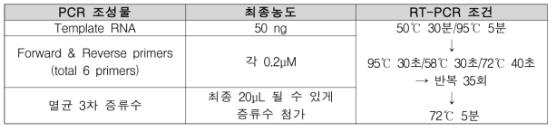 바이러스-총채벌레, 바이러스-국화병 동시진단용 RT-PCR 조건