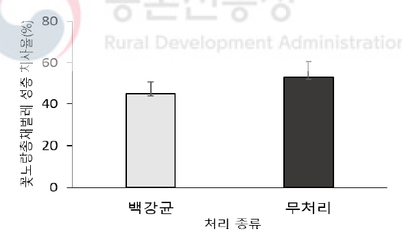 백강균(Beauveria psudobassiana)의 총채벌레 치사율(포트검정)