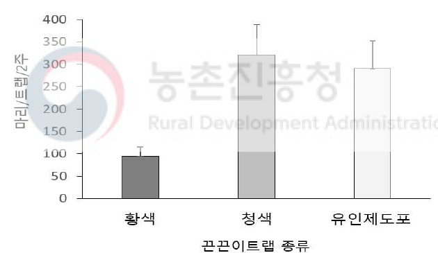 끈끈이트랩 색상에 따른 총채벌레 포획 효과