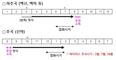 국화 재배기간에 따른 바이러스병 조사시기 결정