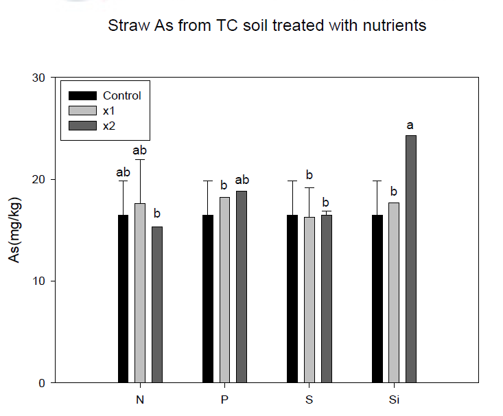TC 벼의 비소 함량