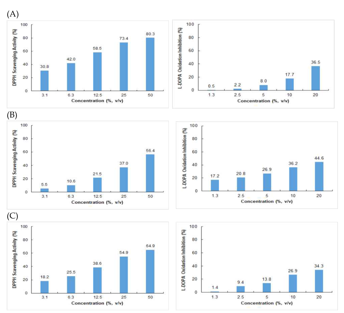 추출방법에 따른 누룩발효 율무박의 DPPH 라디칼 소거능과 시험관 내 DOPA 산화반응 활성저해능. (A) 정제수 (B)BG 50% (C)에탄올30%