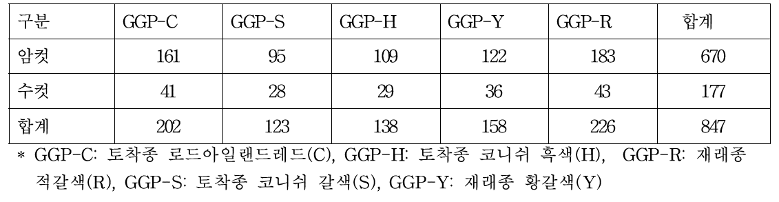 1세대(2019년) GGP집단 계통별 1차 입식수수
