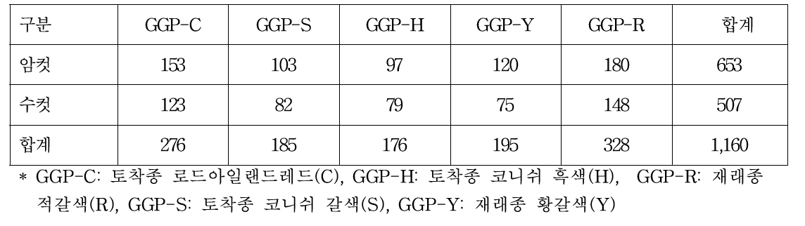 1세대(2019년) GGP집단 계통별 2차 입식수수