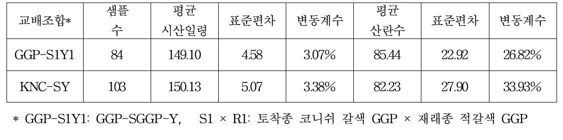 교배종 KNC-S × KNC-Y, GGP-S × GGP-Y의 산란 수 기초통계량