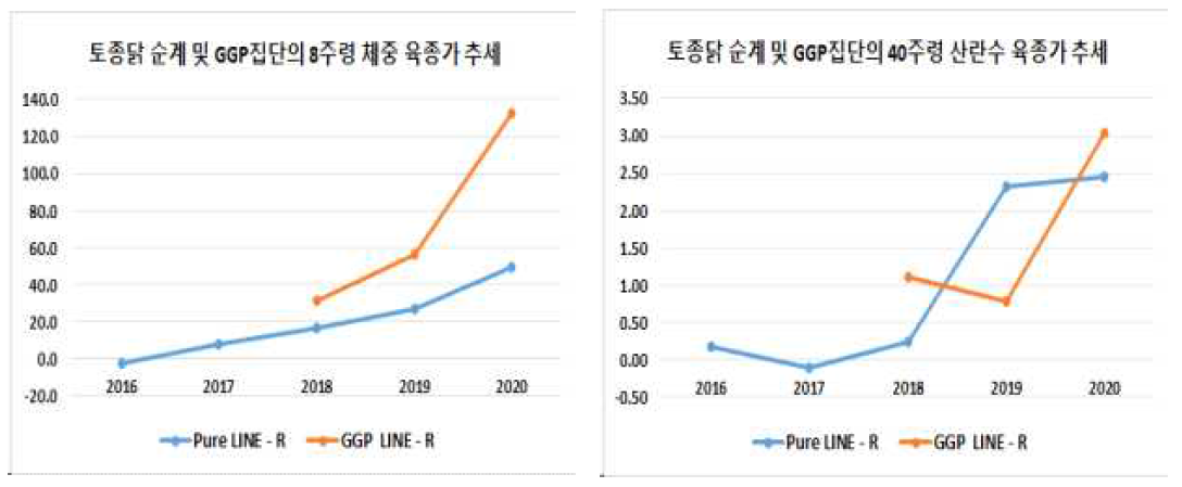 토종닭 순계 및 GGP 집단 R계통의 8주령 체중 및 40주령 산란수의 육종가 추세 ※Pure Line-R: 재래종 적갈색 순계 계통, GGP Line–R: 재래종 GGP 적갈색 계통