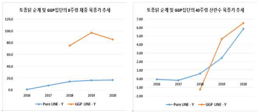 토종닭 순계 및 GGP집단 Y계통의 8주령 체중 및 40주령 산란수의 육종가 추세 ※Pure Line-Y: 재래종 황갈색 순계 계통, GGP Line–Y: 재래종 GGP 황갈색 계통