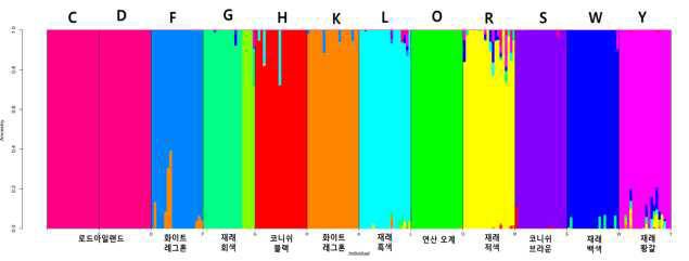 토종닭 12계통의 전장염기서열 기반 유전적 공유도 분석 결과 (K=12)