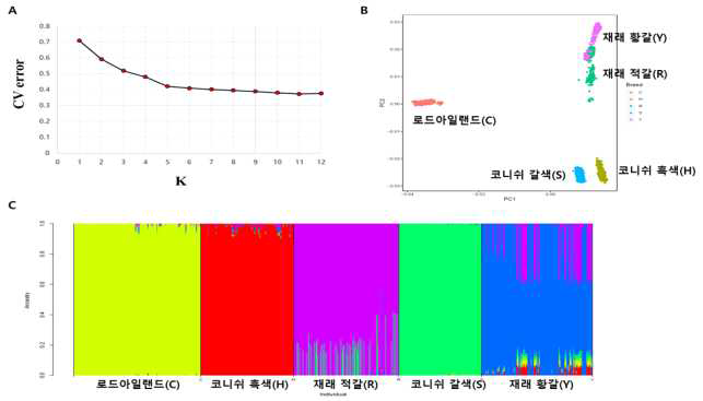 GGP집단 5계통에대한 60K SNP chip 자료기반집단분석결과