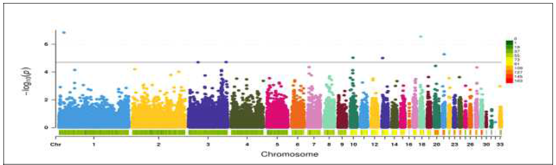 5계통 통합(Multi breed) 전장유전체 연관 분석 결과(Manhattan plot) (총 2,388 개체의 49, 281개의 SNP 마커 대상)
