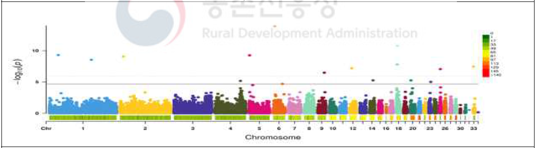 재래 적갈(R) + 재래 황갈(Y) 통합 전장유전체 연관 분석 결과(Manhattan plot) (총 995개체의 46,560개의 SNP마커 대상)