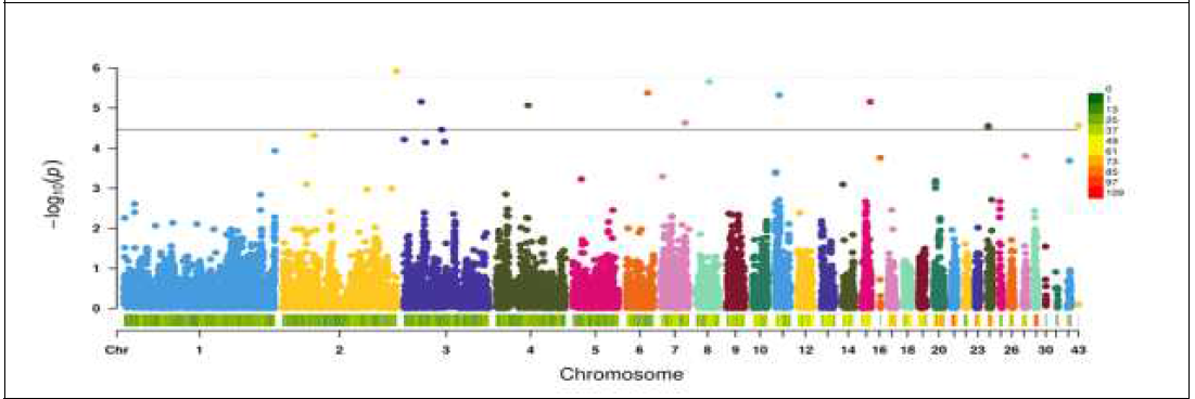 로드 아일랜드 레드(C) 계통 단독 전장유전체 연관 분석 결과(Manhattan plot) (총 585개체의 29,298개의 SNP마커 대상)