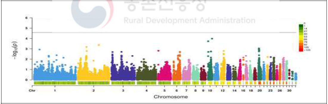 코니쉬 갈색(S) 계통 단독 전장유전체 연관 분석 결과(Manhattan plot) (총 382개체의 37,473개의 SNP마커 대상)