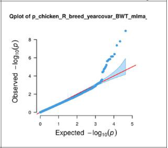 재래 적갈(R) QQ plot