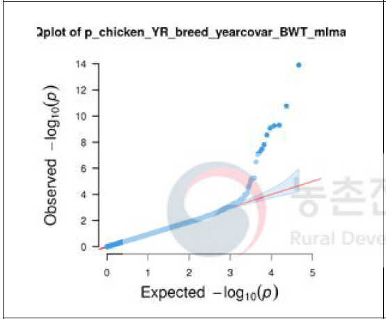 재래 적갈(R) + 재래 황갈(Y) QQ plot