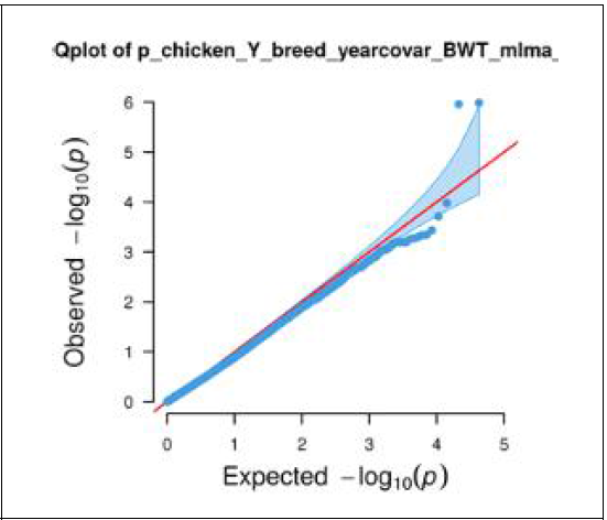 재래 황갈(Y) QQ plot