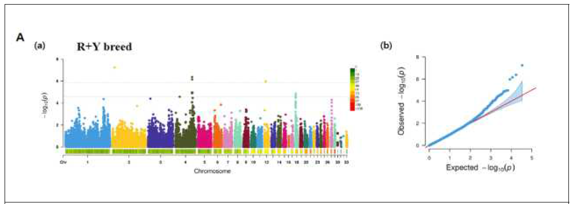 재래 계통 통합(재래 적갈+황갈) 전장유전체 연관 분석 결과(Manhattan plot) (총 1,300 개체의 33,878개의 SNP 마커 대상)