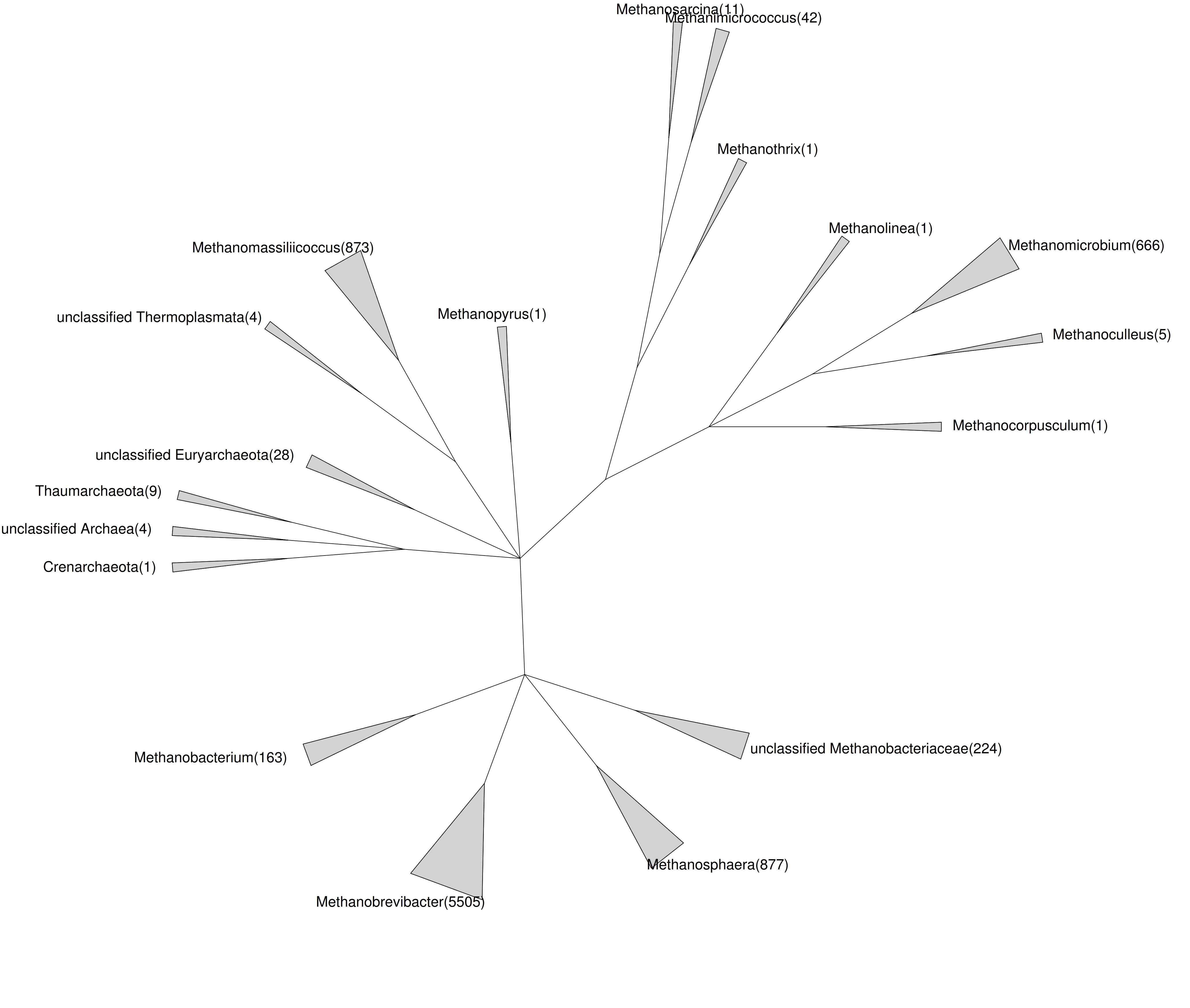 A taxonomic tree showing rumen archaea. A total of 8,416 sequences of ruminal archaea were retrieved from the RDP Release 11 (Update 5). Information on the number of sequences was indicated in parentheses