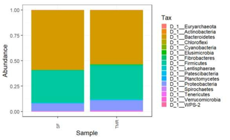 Microbial taxonomic profiles from the rumen contents of the SF and TMR dietary groups at the phylum level