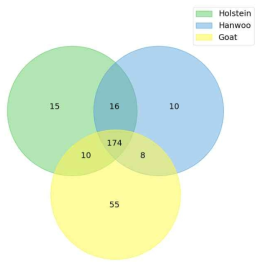 Venn plot for shared bacterial genus in SF and TMR