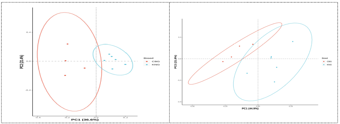 Unweighted principal coordinate analysis (PCoA) displaying correlations among the bacteria (left) and archaea (right) communities of different goat breeds at genus level