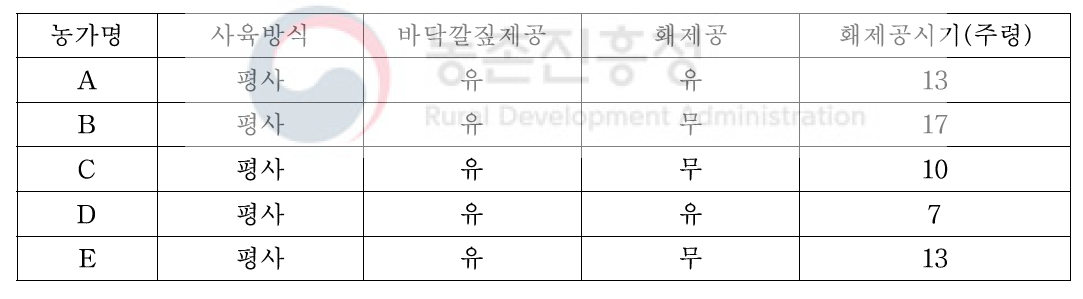 산란계 병아리 자체 육성농가