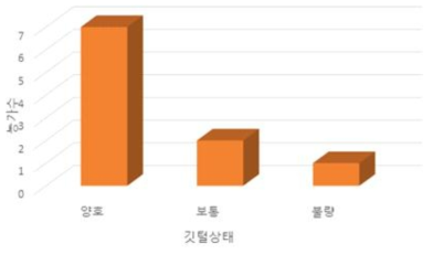 동물복지 인증농가의 산란계 깃털상태