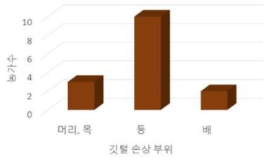 산란계 깃털 손상 부위